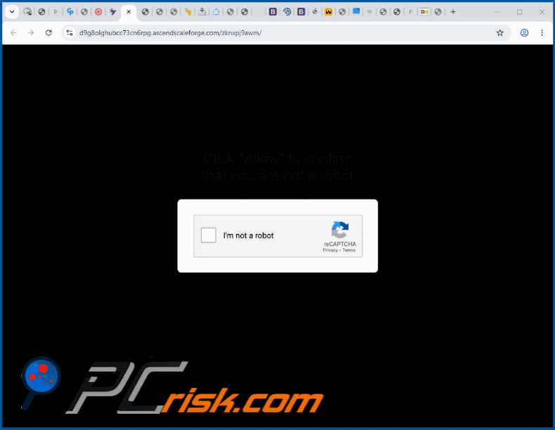 aparência do site ascendscaleforge[.]com (GIF)