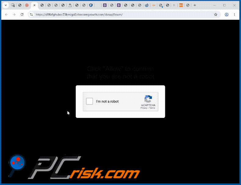 aparência do site risecoregrowth[.]com (GIF)