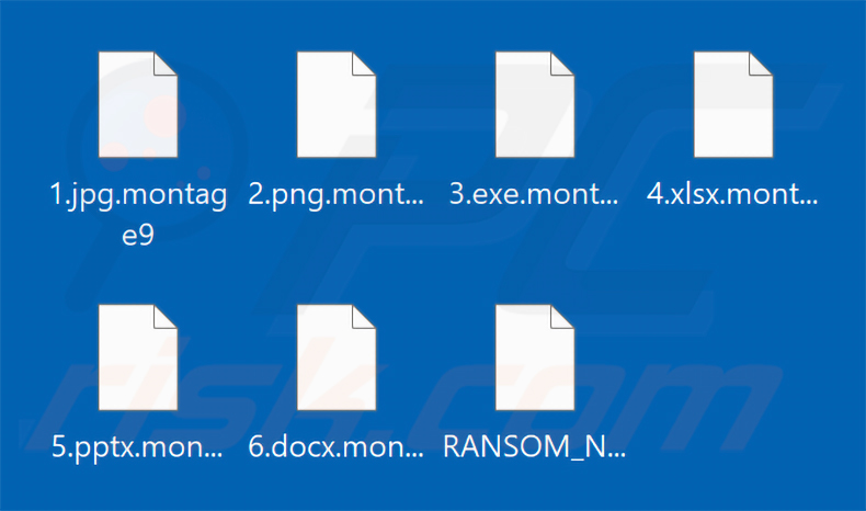 Ficheiros encriptados pelo ransomware Montage (extensão .montage9)