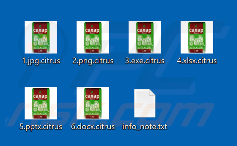 Ficheiros encriptados pelo Citrus ransomware (extensão .citrus)