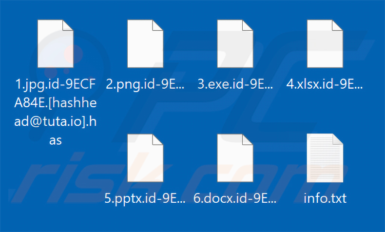 Ficheiros encriptados pelo Has ransomware (extensão .has)