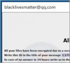 Ransomware Blm