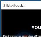 Ransomware 21btc