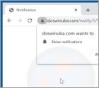 Anúncios Doswinuba.com