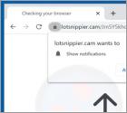 Anúncios Lotsnippier.cam