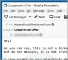 Fraude This Is Not A Formal Email