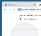 Anúncios youractualfeed.com
