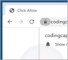 Anúncios Codingcaptcha.com