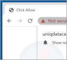 Anúncios Uniqdatacaptcha.top