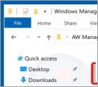 Adware Windows Manager