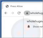 Anúncios Wholehugewords.com