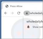 Anúncios Wholedailyfeed.com