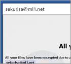 Ransomware Lsas