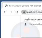 Anúncios Pushnott.com