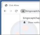 Anúncios Bingocaptchapoint.top
