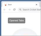 Sequestrador de Navegador Cricket Start