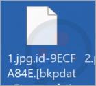 Ransomware bDAT