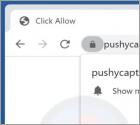 Anúncios Pushycaptcha.live