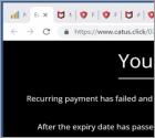 POP-UP da Fraude McAfee - Your Card Payment Has Failed!