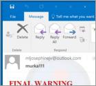 Fraude por Email Final Warning