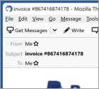 Fraude por Email PayPal - Your Order Is Already Processed