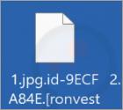 Ransomware R0n