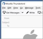 Fraude por Email Thank You For Shopping With Apple