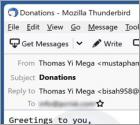 Fraude por Email Donation From Lottery Winner