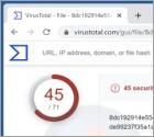 Ladrão Enigma