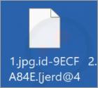 Ransomware Jerd