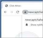 Anúncios Newcaptchahere.top