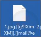 Ransomware SophosEncrypt