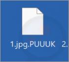 Ransomware BIDON