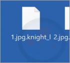 Ransomware Knight