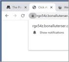 Anúncios Bonalluterser.com