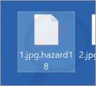 Ransomware Hazard