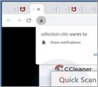 Fraude POP-UP CCleaner Total Protection