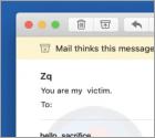 Fraude por Email Hello, Sacrifice. This Is My Last Warning!!!