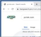 Redirecionamento Bangsearch.pro