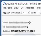 Fraude por Email We Have Full Access To Your Device