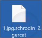 Ransomware SchrodingerCat