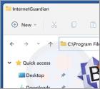 Aplicação Indesejada InternetGuardian