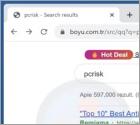 Redirecionamento Boyu.com.tr