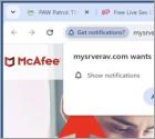 Anúncios Mysrverav.com