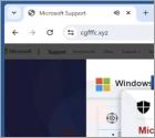 POP-UP da Fraude Microsoft Detected A Unusual Application In Your System