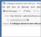 Fraude por Email A Team Member Shared An Item