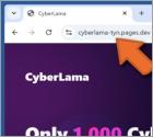 CyberLama Mint Fraude