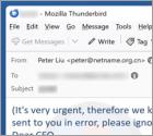 Fraude por Email Domain/Company Name Conflict