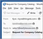 Fraude por Email Share Your Company Catalog