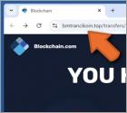 Blockchain.com Money Transfer Fraude
